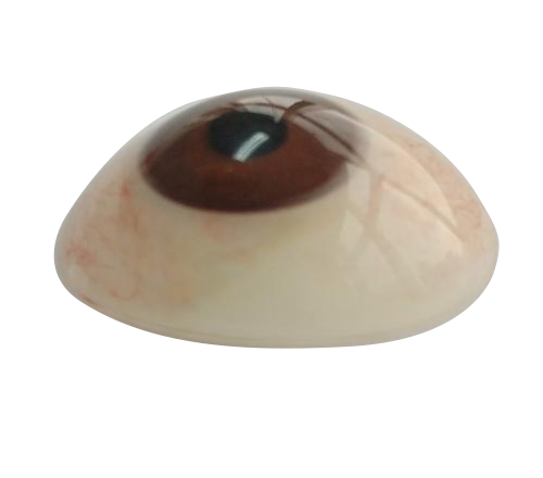 泰安微雕义眼定制